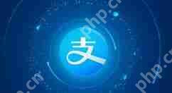 支付宝怎么申请宠物码？申请宠物码的方法介绍