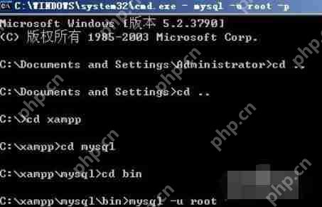 xampp的mysql密码怎么设置？mysql密码设置流程介绍
