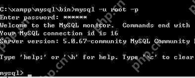 xampp的mysql密码怎么设置？mysql密码设置流程介绍