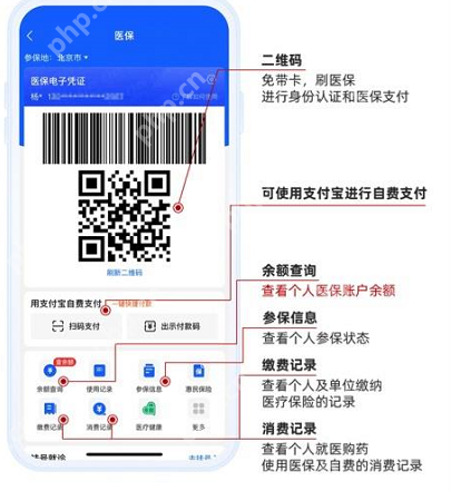 支付宝如何查询医保个人账户余额-支付宝查询医保个人账户余额的方法