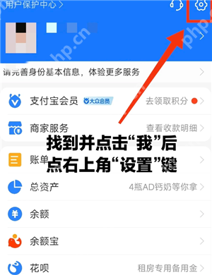 支付宝免密支付在哪里关闭 支付宝免密支付额度在哪设置