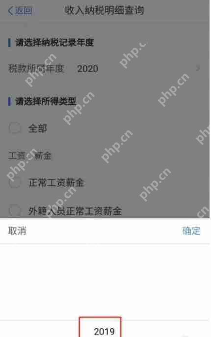 个人所得税如何查询纳税明细