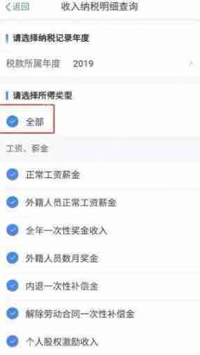 个人所得税如何查询纳税明细