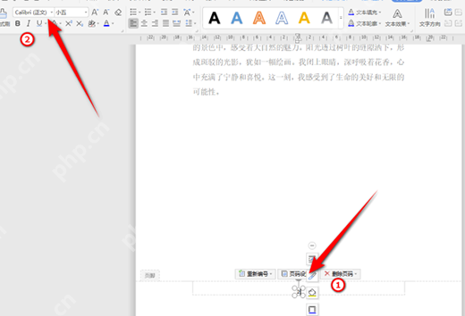 wps怎么修改页码字体