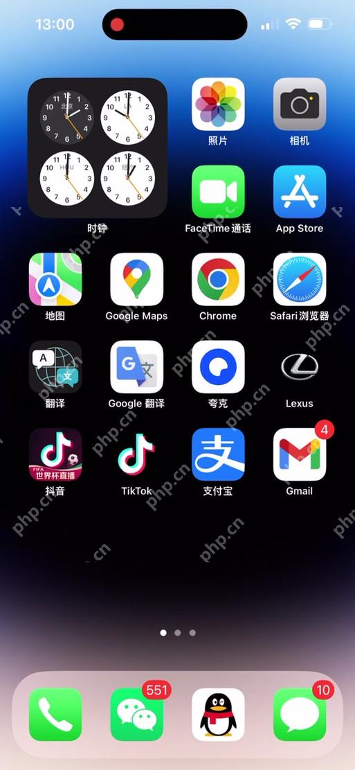 Safari页面加载错误怎么解决?DNS与证书检查