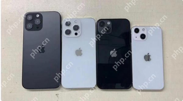 iphone13会有指纹解锁吗