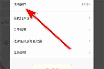 松果出行app在哪清除缓存 松果出行app清除缓存位置