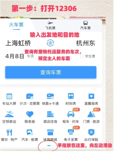12306宠物托运需要什么手续 12306宠物托运下单步骤