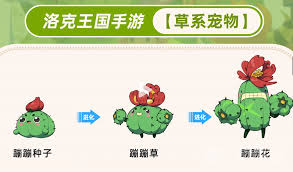 洛克王国世界宠物如何进化