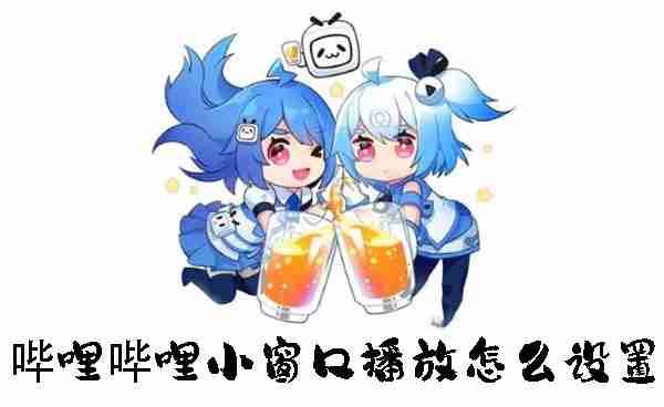 哔哩哔哩小窗口播放怎么设置 哔哩哔哩小窗口播放设置的方法