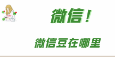 去哪看自己有多少的微信豆 微信豆图文查看教程