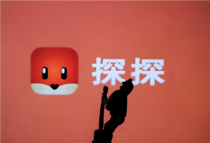 探探可以通过手机号找人吗 探探可以搜索别人昵称找人吗