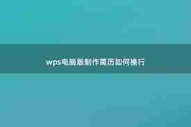 wps电脑版如何制作简历