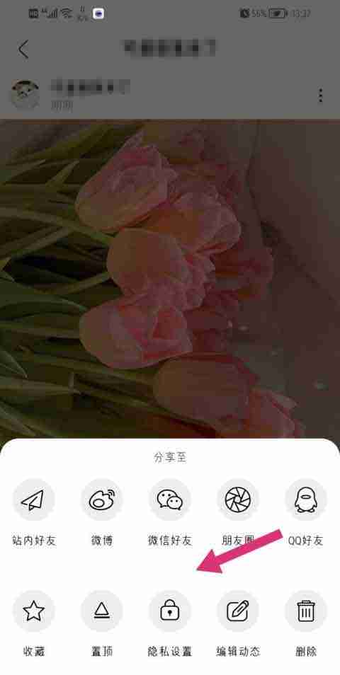 绿洲app发布动态如何设置私密 绿洲私密动态设置步骤一览