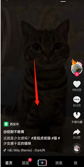 抖音二倍速播放视频怎么弄 抖音调整播放速度方法分享