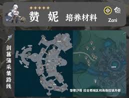 鸣潮赞妮培养材料有哪些