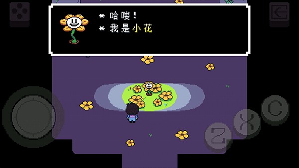 传说之下bnp