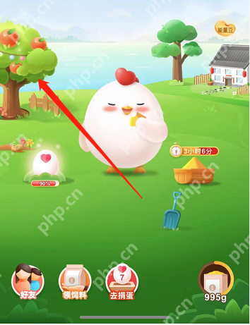 支付宝助农施肥在哪里