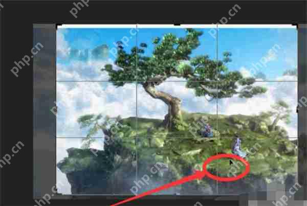 ps怎么裁剪不要的部分 裁剪不要的方法介绍