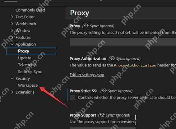 Vscode怎么关闭空窗?Vscode关闭空窗教程
