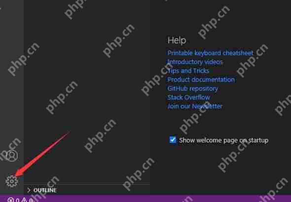 Vscode怎么关闭空窗?Vscode关闭空窗教程