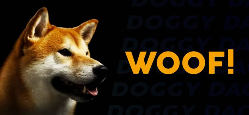 什么是柴犬币(SHIB)？如何购买、价格预测及初学者需要知道的一切