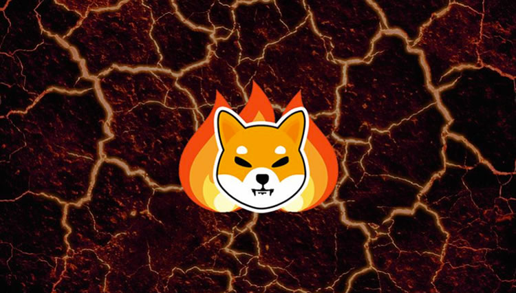 什么是柴犬币(SHIB)？如何购买、价格预测及初学者需要知道的一切
