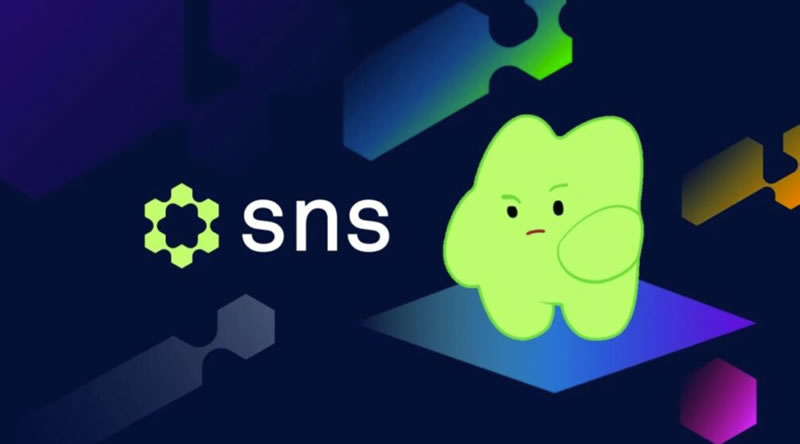 什么是Solana名称服务(SNS)币？SNS代币经济学、功能及未来分析