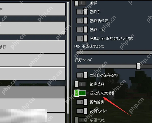 我的世界怎么隐藏玩家昵称 游戏名称隐藏方法介绍
