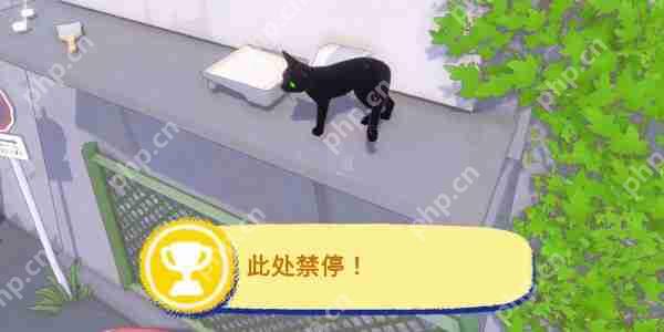 小猫咪大城市此处禁停成就怎么完成-小猫咪大城市此处禁停成就攻略
