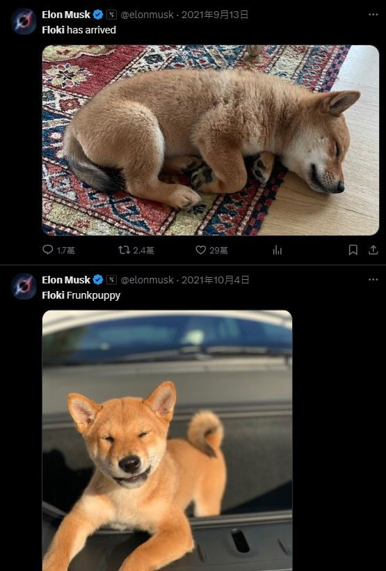 Floki币是什么？FLOKI币如何购买？FLOKI币价格走势分析