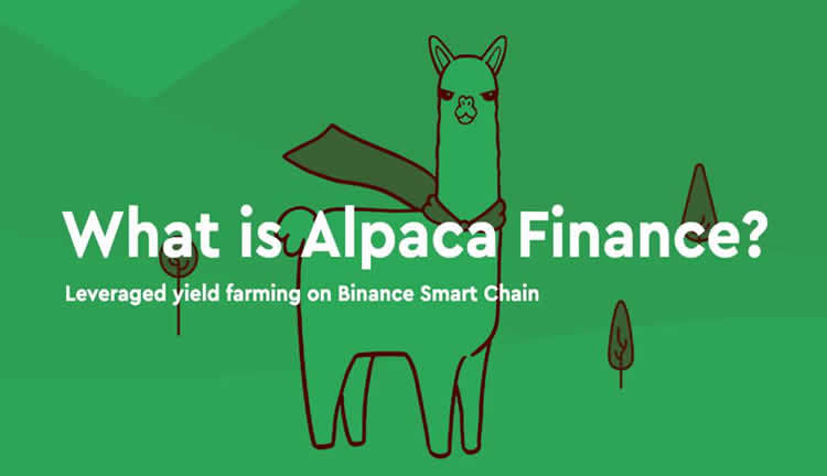 ALPACA币是什么？下架币安后币价飙涨,$ALPACA未来前景如何？