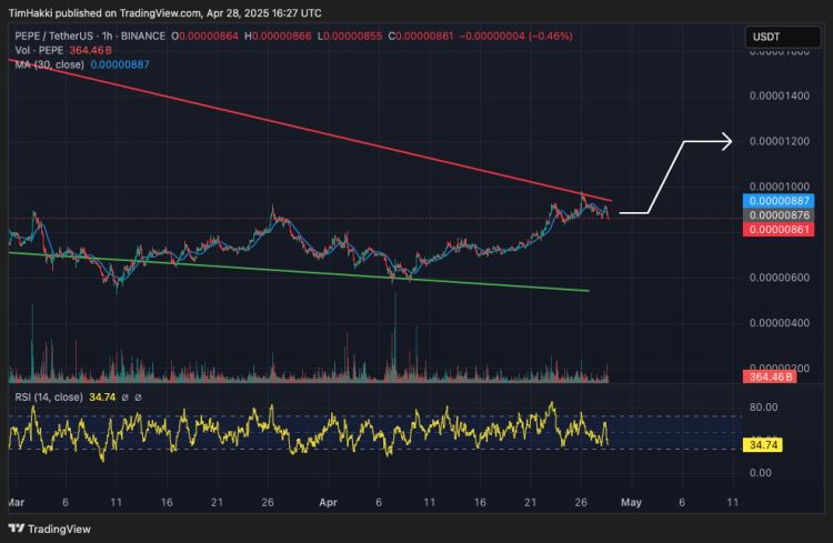 从 $0.001 到 $1？三大不容忽视的迷因币