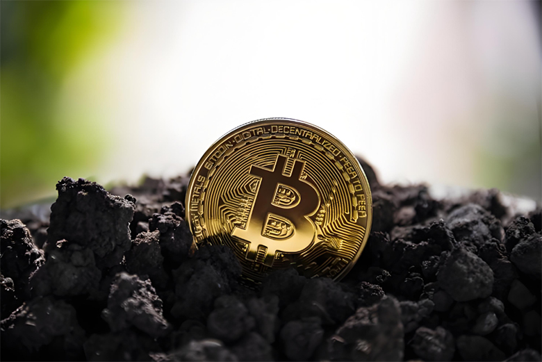 2025 年各国政府持有多少比特币？一文介绍