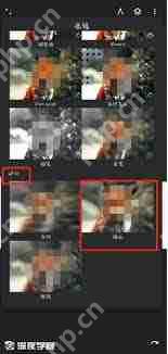 painter怎么进行模糊处理