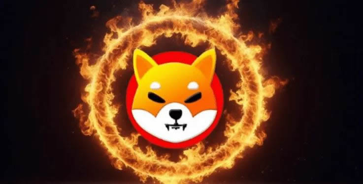 SHIB暴涨,后市行情如何？SHIB币技术面+基本面全面分析