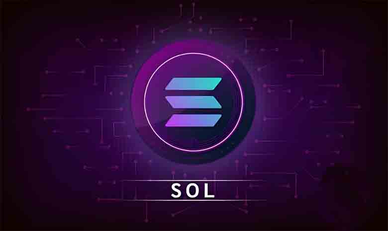 2025年Solana (SOL)质押新手教程:初学者的分步指南