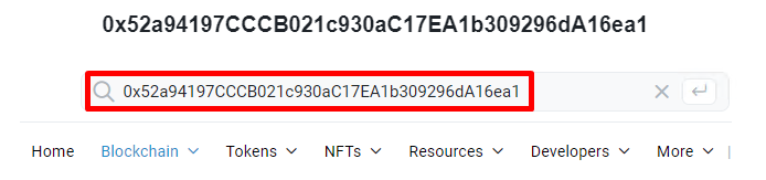 Etherscan 搜索框
