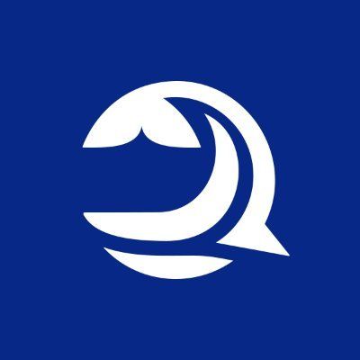 Bluwhale Network(BLUAI)币是什么？如何参与空投,未来潜力如何？