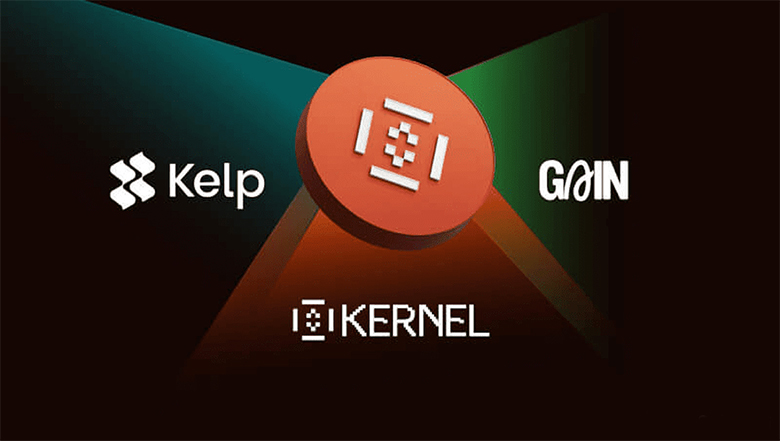 币安推出第4期Megadrop项目KernelDAO (KERNEL)附项目介绍