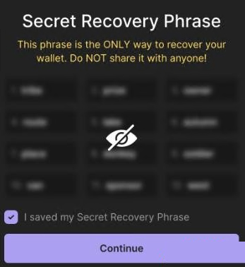 Phantom Wallet介绍及其使用方法详解,图文教程