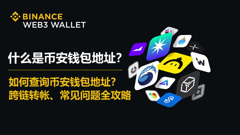 一个wallet地址可以放几个代币？