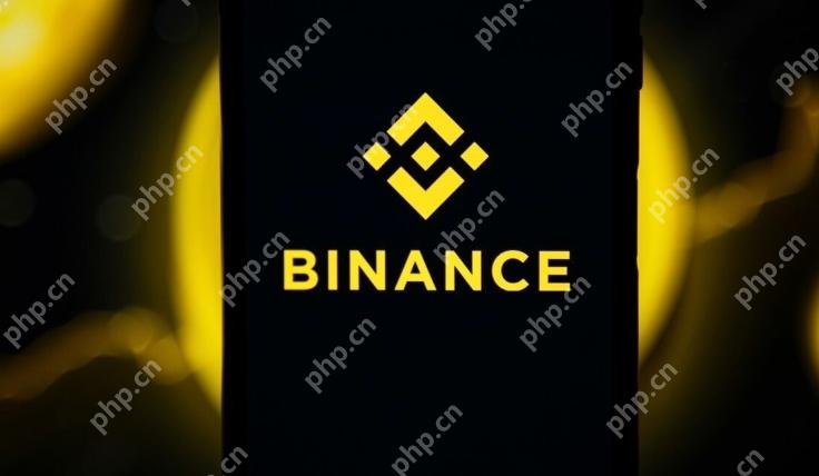 币安网页版登录入口 币安网页版登录注册页面 - 菜鸟下载