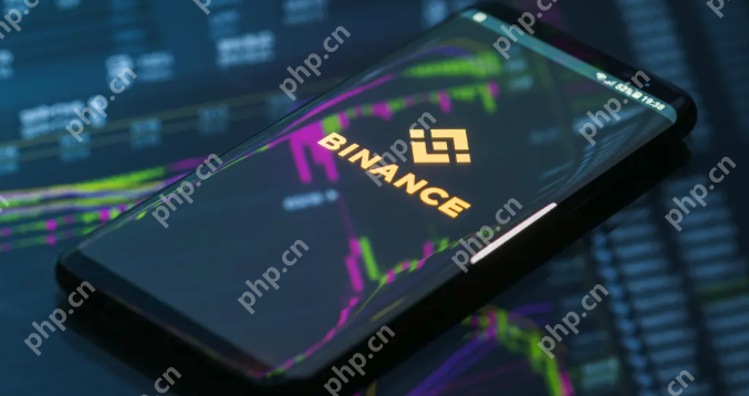 币安binance网页版入口 币安binance交易所网页版直接进 - 菜鸟下载