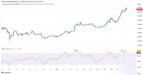 Sonic(S)币价格预测2025-2030年:S币未来能涨到多少？