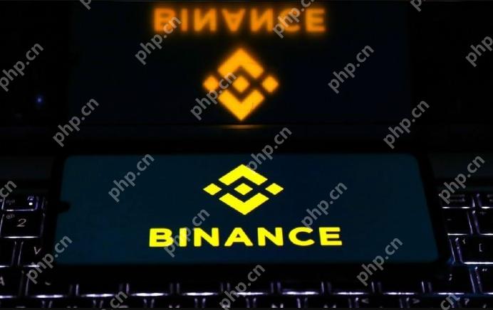 币安官网登录入口 币安官网注册登录页面进入 - 菜鸟下载