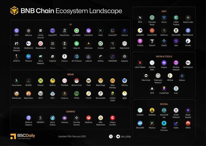 BNB链下一个千倍币在哪里？BNB链金狗捕获方法