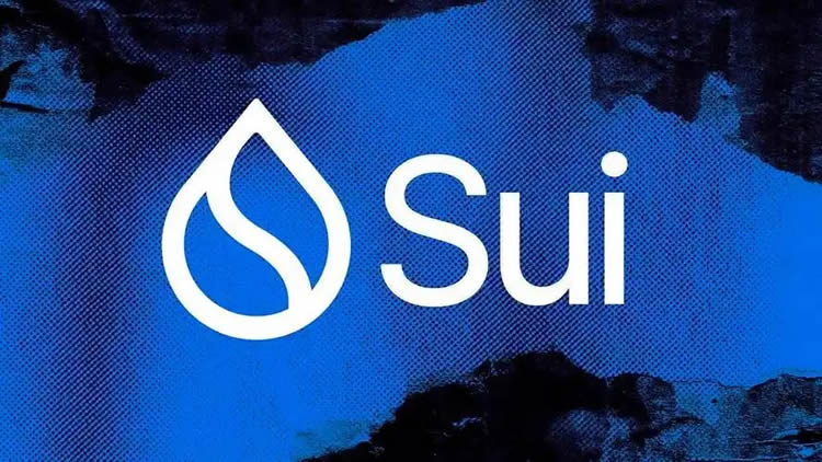 Sui生态概念币解析:热门项目与未来发展趋势
