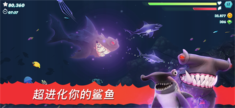 饥饿鲨进化正版