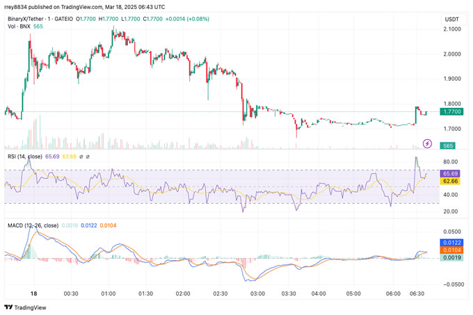 BNX价格上涨:BinaryX 会达到新高度吗？